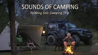 Solo Camping in the Australian Bush with my Dog [ Steak on campfire, Car: Jeep Wrangler ] SoC ep19