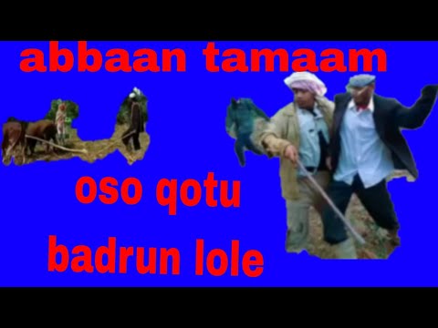 Diraamaa Qe Ee Abbaa Tamaam Kutaa 17ffaa Abbaan Tamaam Lafa Qota 