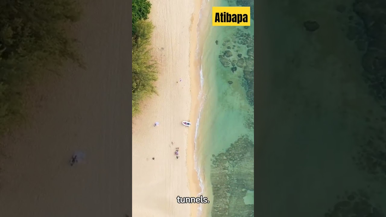 The Mastermind's Empire of Elon Musk