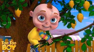 Mango Tree Episode Too Too Boy Cartoon Animation For Children