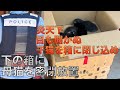 【65】生まれて間も無い子猫5匹と母猫を別々の箱で密閉放置!捜査は警察へ、我々は命を守り幸せにするだけ。保護猫保育園は満員御礼中…
