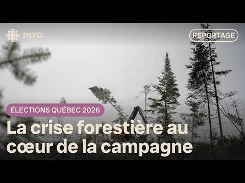 Forestry crisis in Maniwaki: The future of the industry at the heart of the vote | Québec Electio...