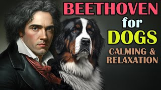 Classical Music for Dogs, Separation Anxiety Music for Dogs, Dogs Music Therapy
