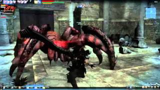 Vindictus New Character [[Hurk]] Solo Hidden Gameplay