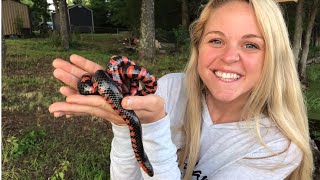 UNBELIEVABLE! We Found America’s Most SNEAKY Snake! — Super RARE & BEAUTIFUL!