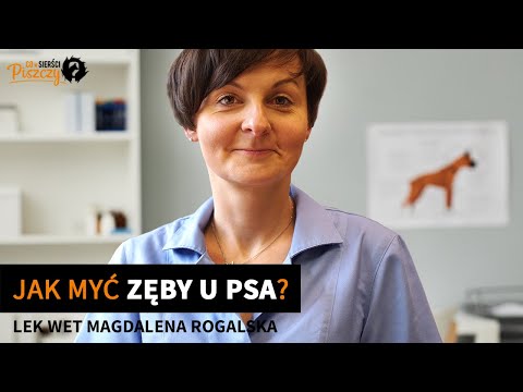 Wideo: Jak czyścić zęby psa