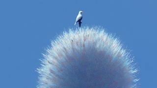 miss u so (feat. Nam Gijun) - blueberryclub