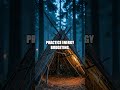 When Darkness Falls in the Pines