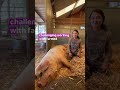 Over the next week, meet the incredible caregivers who give it their all to keep the animals safe