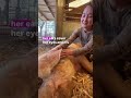 Over the next week, meet the incredible caregivers who give it their all to keep the animals safe