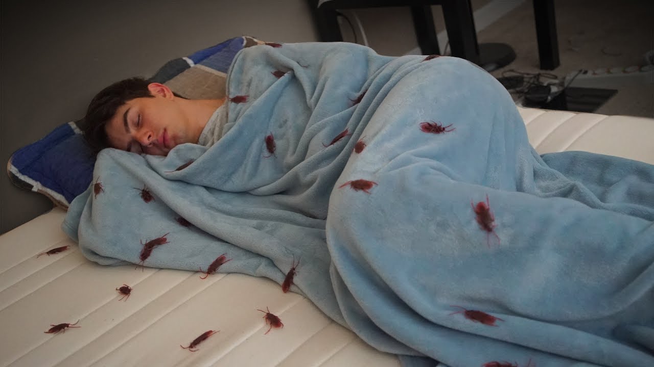 vlogs in spanish Bed full of cockroaches - NeaglePrank -