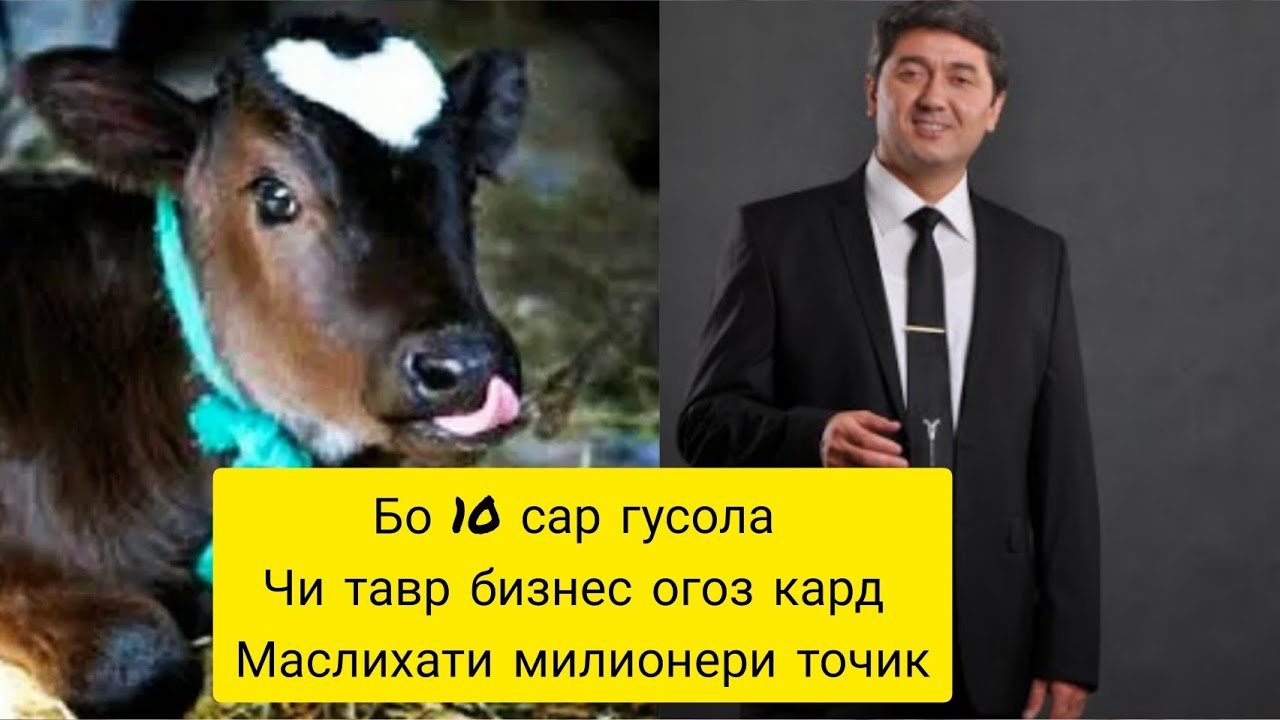 БО 1О САР ГУСОЛА  БИЗНЕС огоз кардан! БО САИДМУРОД ДАВЛАТОВ Барои мардуми Точик