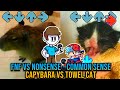 FNF Common Sense TOWEL CAT VS CAPYBARA - Friday night Funkin&#39; FNF Mod VS Common Sense