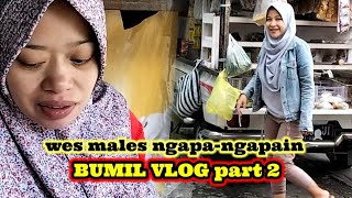 MAMAH ABIL ❤️ VLOG BUMIL CANTIK belanja sayuran