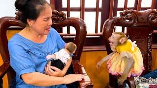 Monkey Kaka doesn't like her grandma holding Monkey Mit