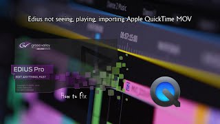 How to fix Edius not seeing, playing, importing Apple QuickTime MOV and MP4 files - Edius screenshot 5
