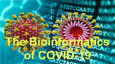 The Bioinformatics of COVID-19 - Part 2