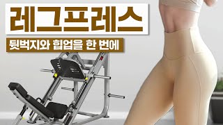 뒷벅지와 힙라인을 한번에! 레그프레스 운동법 How to leg press