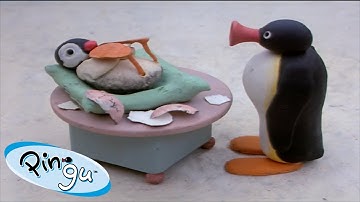 Pinga is Born 🐧 | Pingu - Official Channel | Cartoons For Kids
