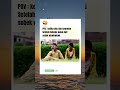 asli seneng banget #memes #lucu #youtubeshorts #fypシ゚viral