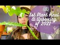 Last Plant Haul of 2020 / First Plant Haul of 2021! Lowe’s Home Depot Nurseries &amp; Mercari Unboxing!