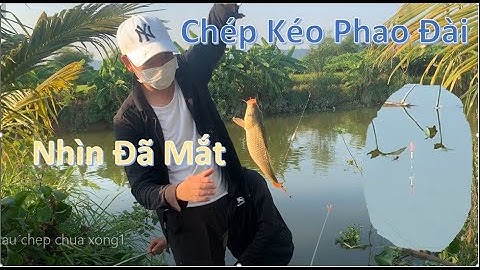 Cận Cảnh Chép Khủng Kéo Phao Đài Nhìn Đã Mắt l Câu Cá TV