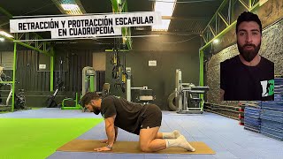 Retracción y protracción escapular en cuadrupedia 