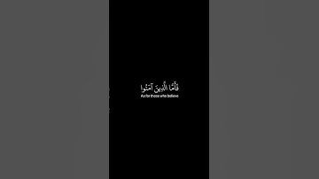 سورة البقره آيه 26 القارئ رعد الكردي