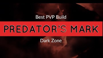 The Division 1.8.3| Best Solo DZ Build | Predators Mark | PVP