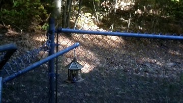 INFJ Empath building up positive energy, codependency healing