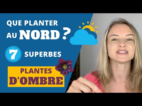 Vidéo: Choisir des fleurs sauvages à l'ombre : des fleurs sauvages qui aiment l'ombre pour le jardin