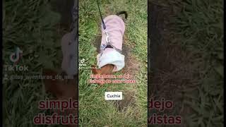 Acantilados Cuchía