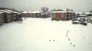 Snow Time-Lapse Video - Cincinnati