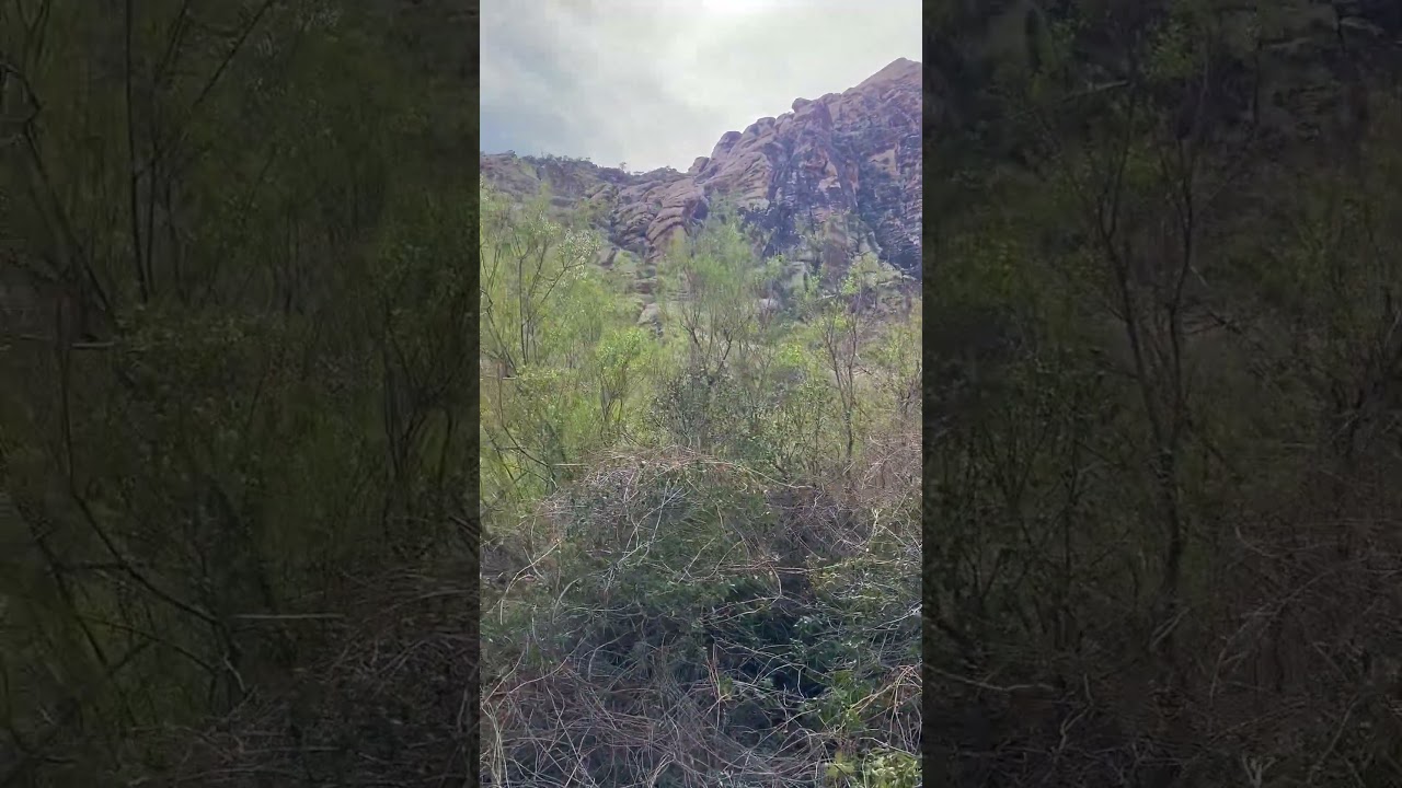 Lost Creek Trail at Red Rock Canyon National Conservation Area Near Las Vegas Nevada