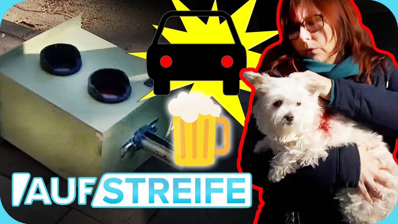 "Ich war so aufgeregt" 😬​ Trunkenheitsfahrt endet für Hündchen blutig 😰​ | Auf Streife | SAT.1