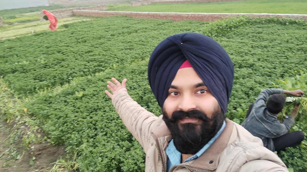 Kheton Se Lekar Aaye sabji Pind Di Kheti  