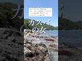 71-3「カスバの女」エト邦枝の曲。cover氷川きよし。
