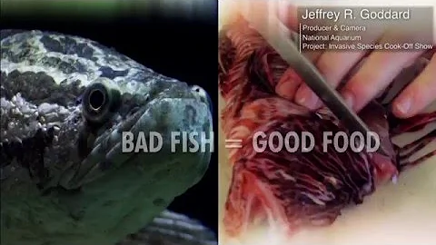 Jeffrey Goddard Demo Reel 2016