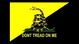 Making the Case for Libertarian Anarchism. Kal Molinet & Keith Knight