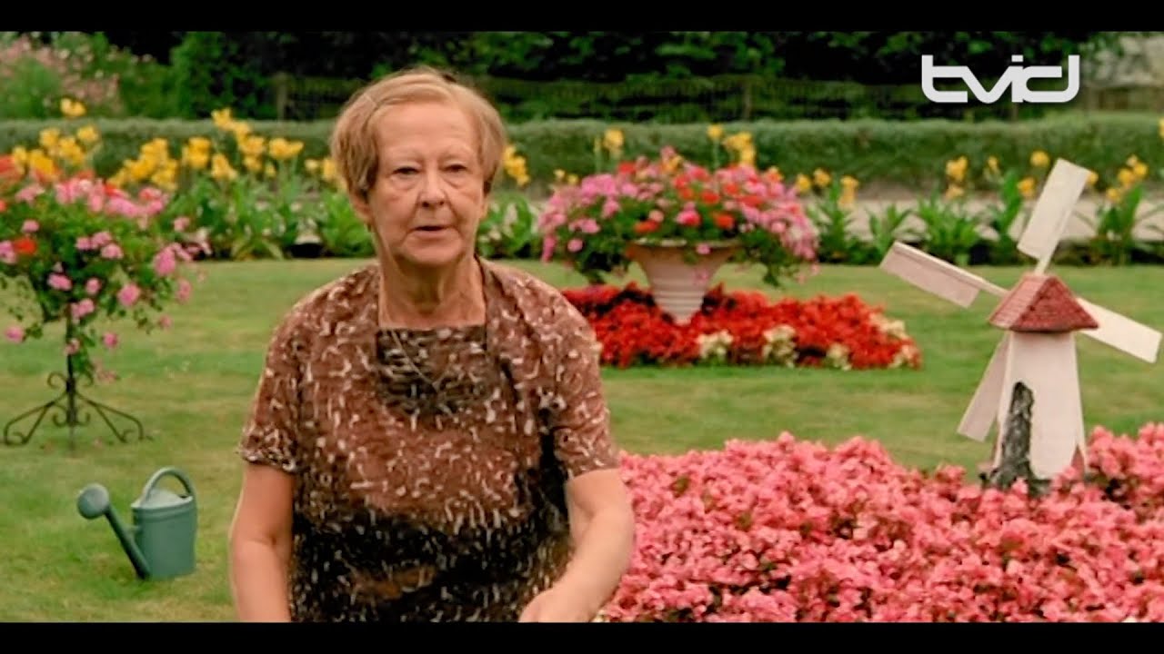 Dora van der Groen overleden YouTube