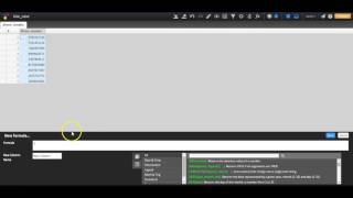 How to standardize phone numbers in Informatica Rev screenshot 5