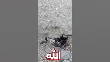 سر موجود في سورة الفاتحه للرزق #اكسبلور #المصحف