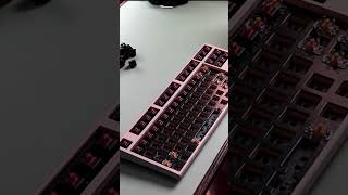Mechanical Keyboard Cleaning Asmr