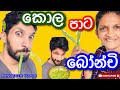 කොල පාටට බෝන්චි උයමු|How to make green bean curry-Sangeeth Vlogs|Sangeeth Satharasinghe