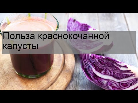 Польза краснокочанной капусты