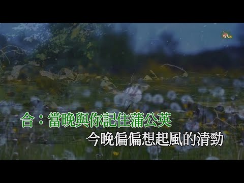 我的回憶不是我的 | 海鳴威 + 泳兒  | 粵語 | 高清 | 伴唱版本 | 卡拉OK | KARAOKE | KTV