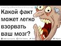 Факты, которые взорвут ваш мозг