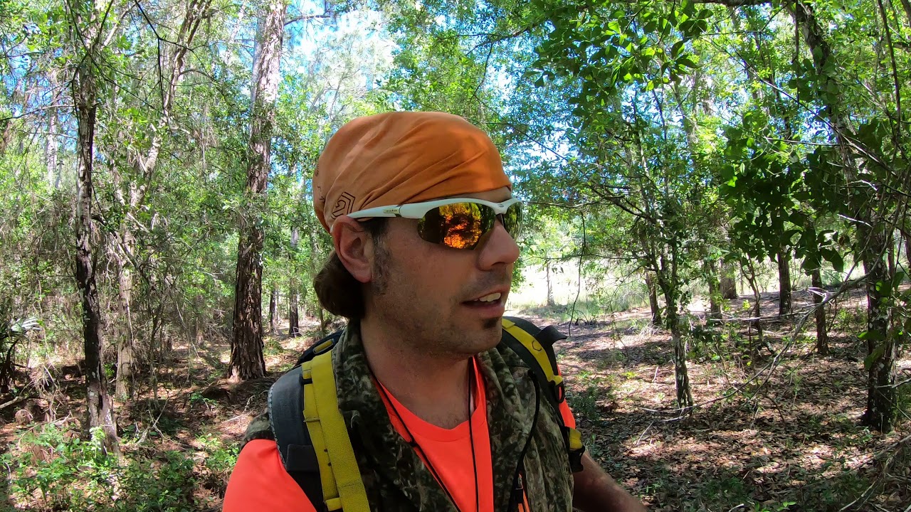 abandoned meaning in bengali Roaming at Jumper Creek Wildlife Management Area