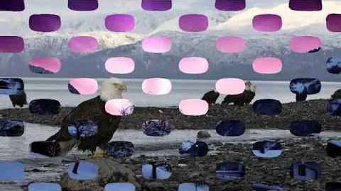 James J.Stachecki 2006 Alaszka