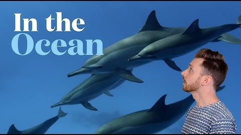 Davey K explores the sea ["In the Ocean" Official Music Video]